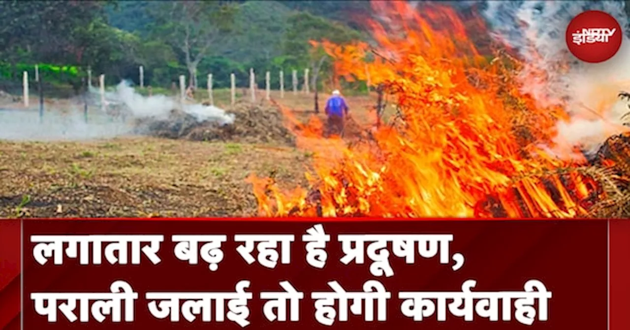 Air Pollution: पराली जलाने वालों के खिलाफ कानूनी कार्रवाई के निर्देश | Stubble Burning