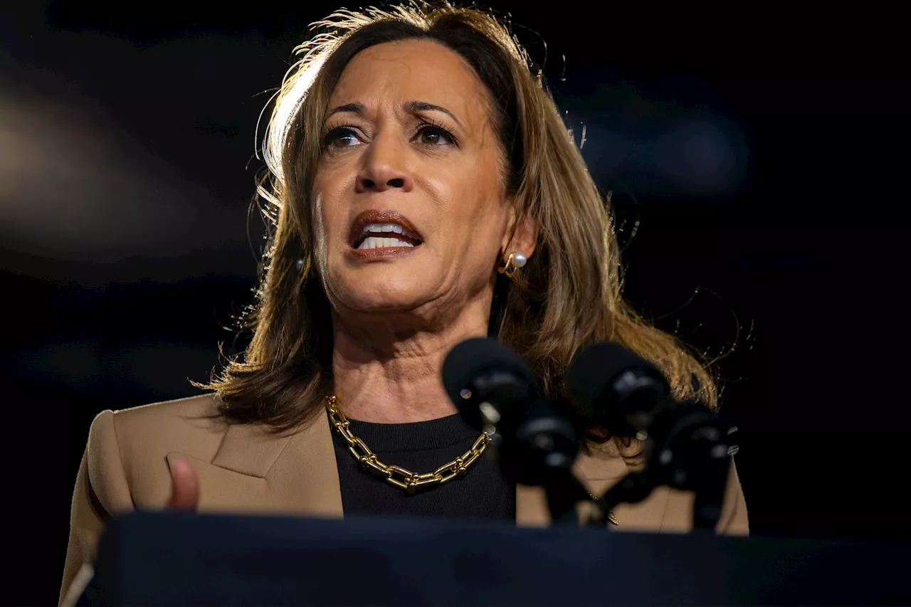 Kamala Harris Seriously Lagging Among Black Voters in New Poll