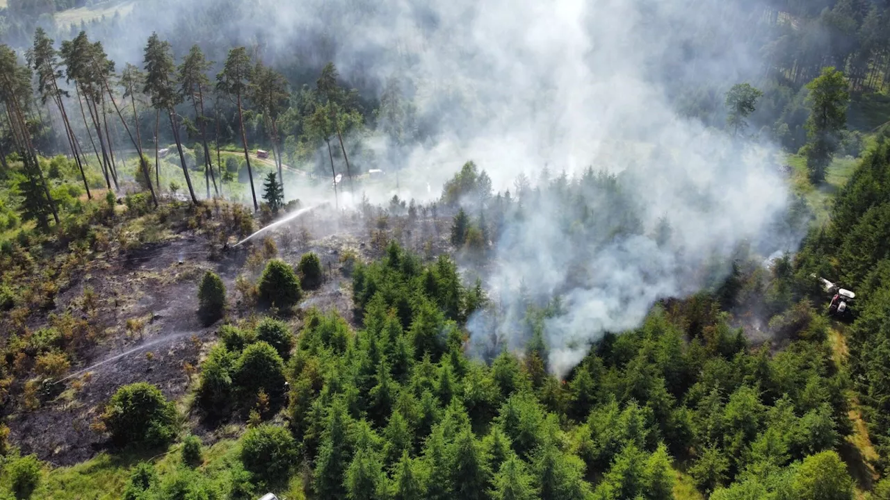 Aufrüsten gegen Waldbrände: 250 Waldfachpläne fertiggestellt