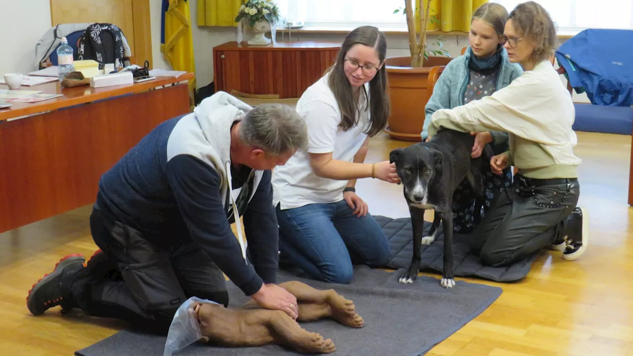 Gablitzer Hunde leben nun sicherer