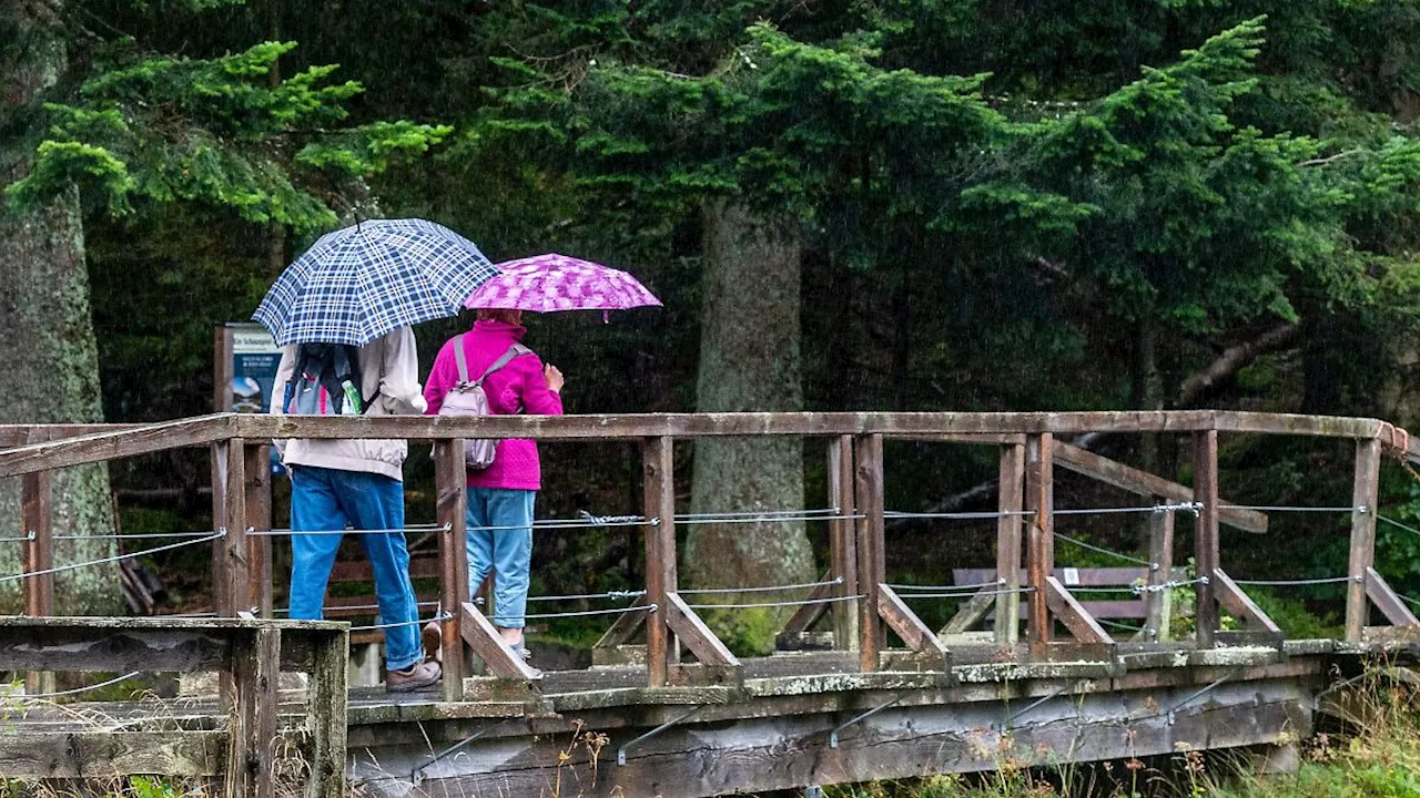 Bayern: Regen und stürmisches Wetter in Bayern erwartet