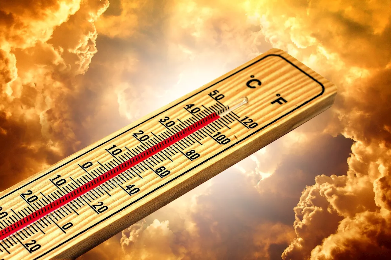 How mainstream climate science endorsed the fantasy of a global warming time machine