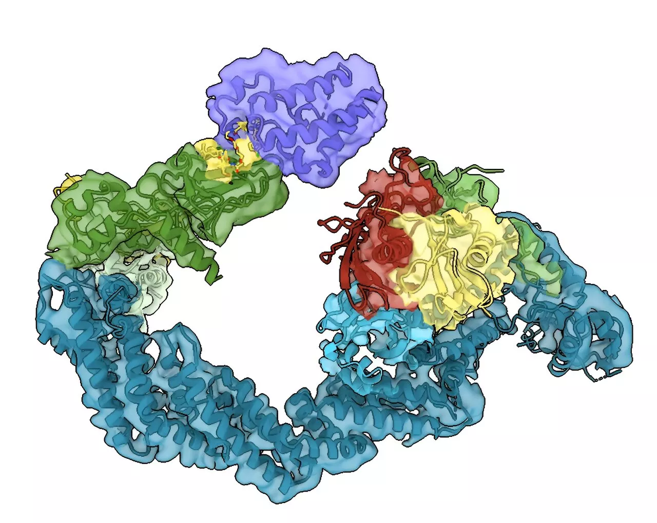 Targeting 'undruggable' diseases: Researchers reveal new levels of detail in targeted protein degradation