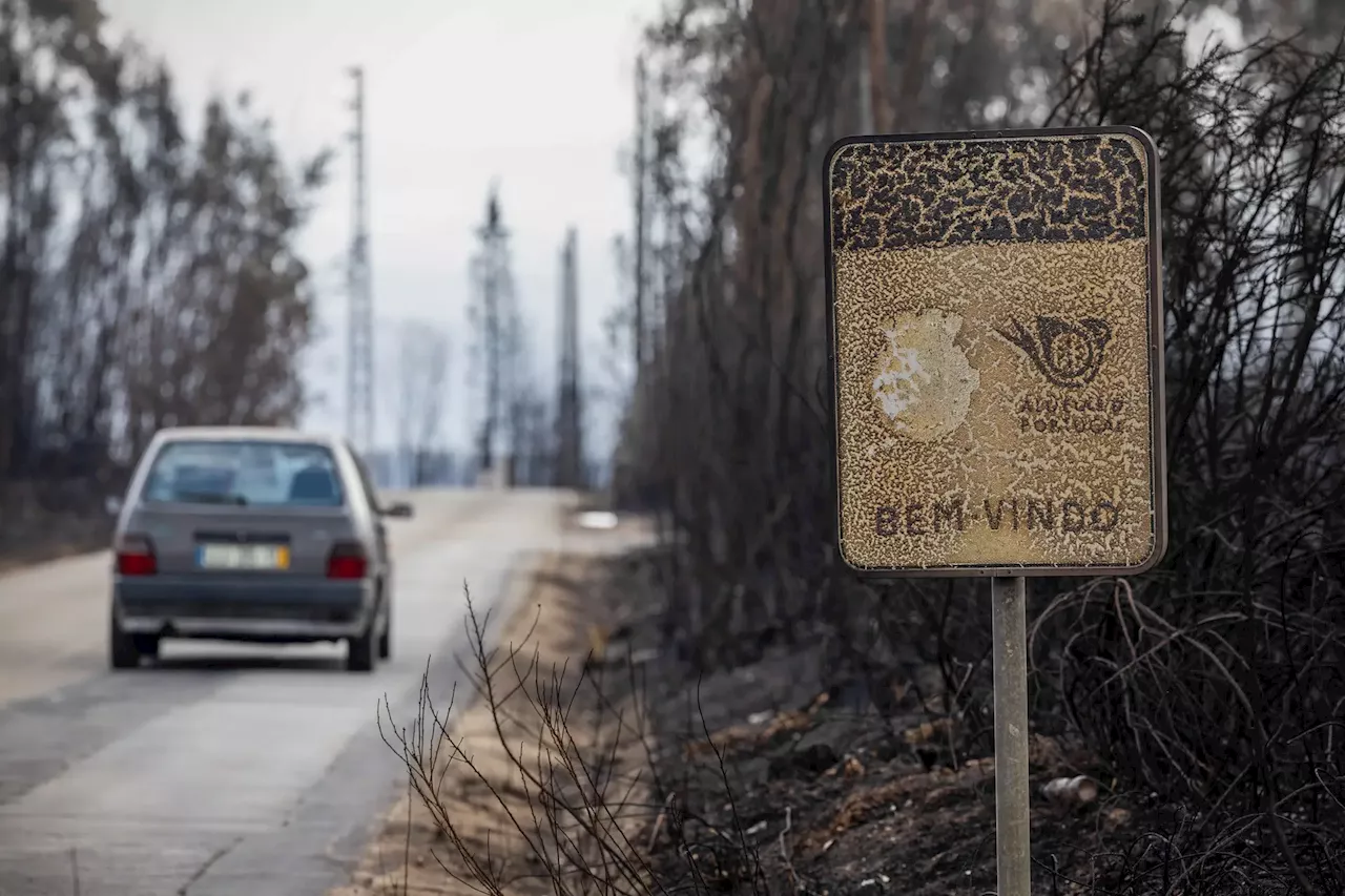 Depois dos incêndios: Governo já entregou 107 mil euros a agricultores