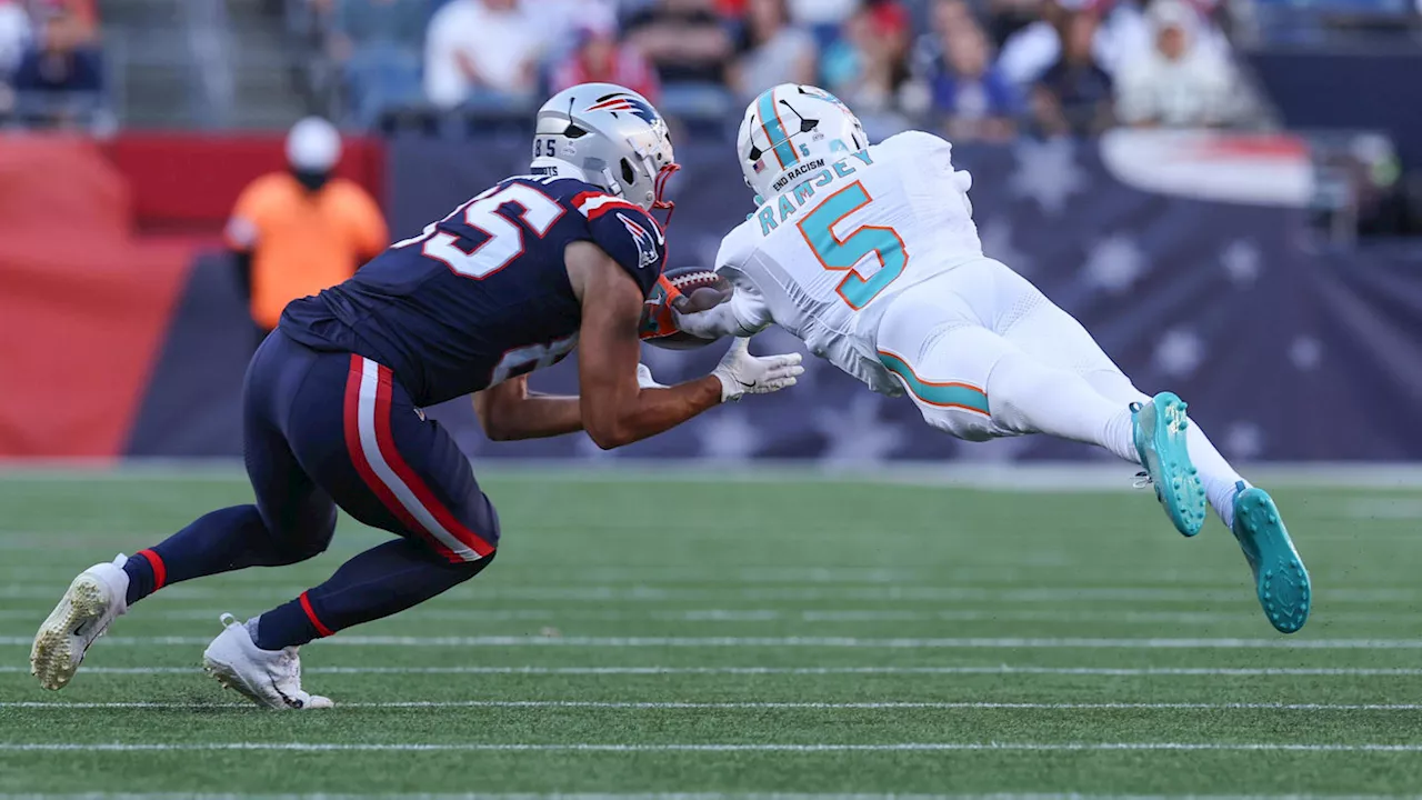 Miami Dolphins Players Fined for New England Game