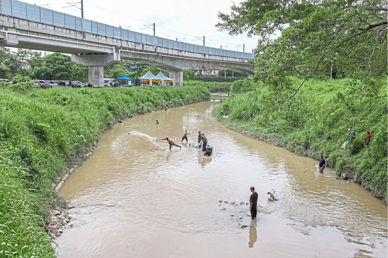 Selangor Trapping Invasive Catfish to Preserve River Biodiversity