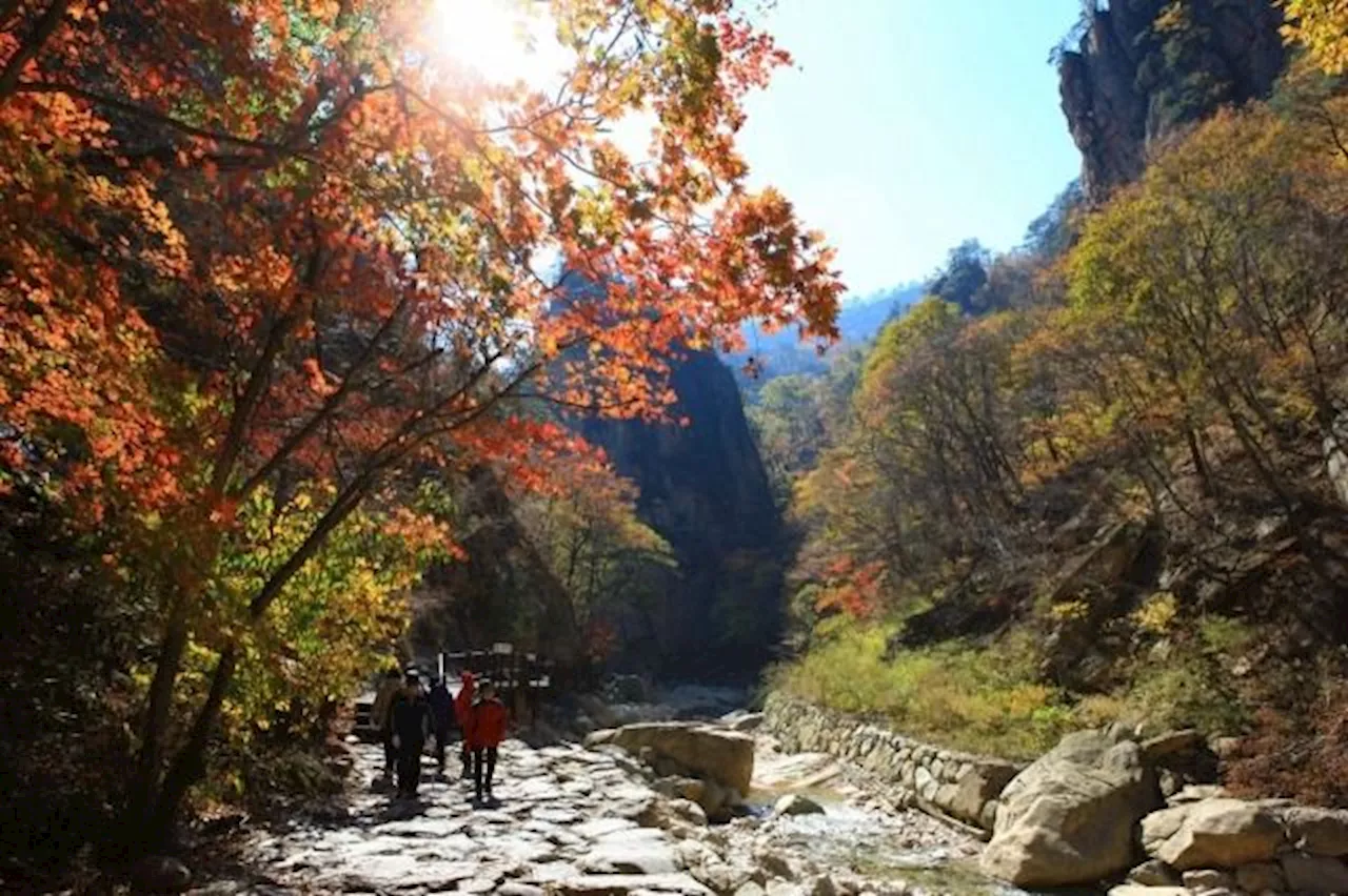 South Korean travel agencies rush fall tourism products as fall foliage expected to arrive early