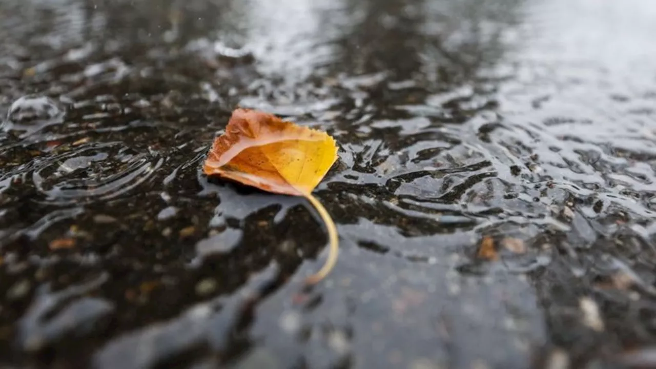 Wetter: Nebel, Wind und Sonne in Baden-Württemberg erwartet