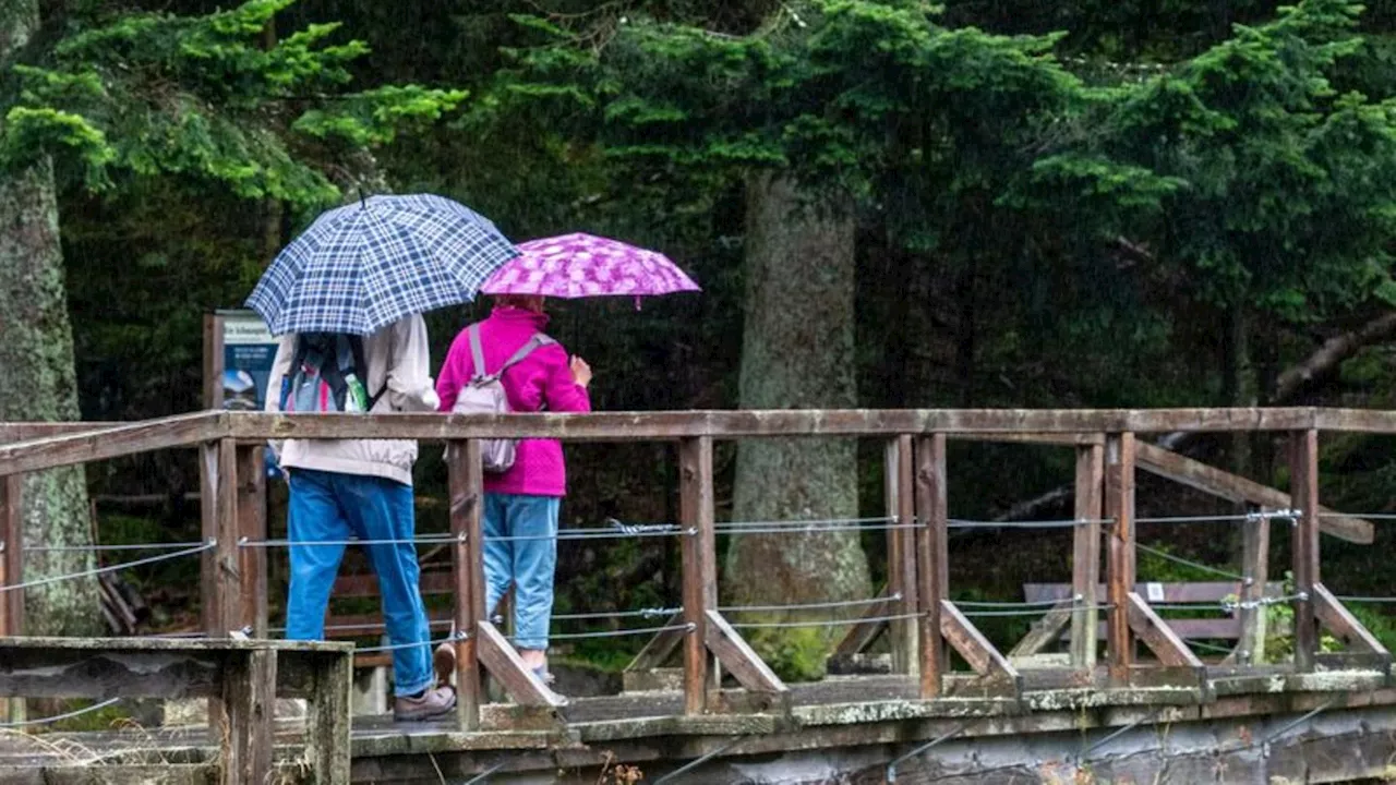 Wetter: Regen und stürmisches Wetter in Bayern erwartet