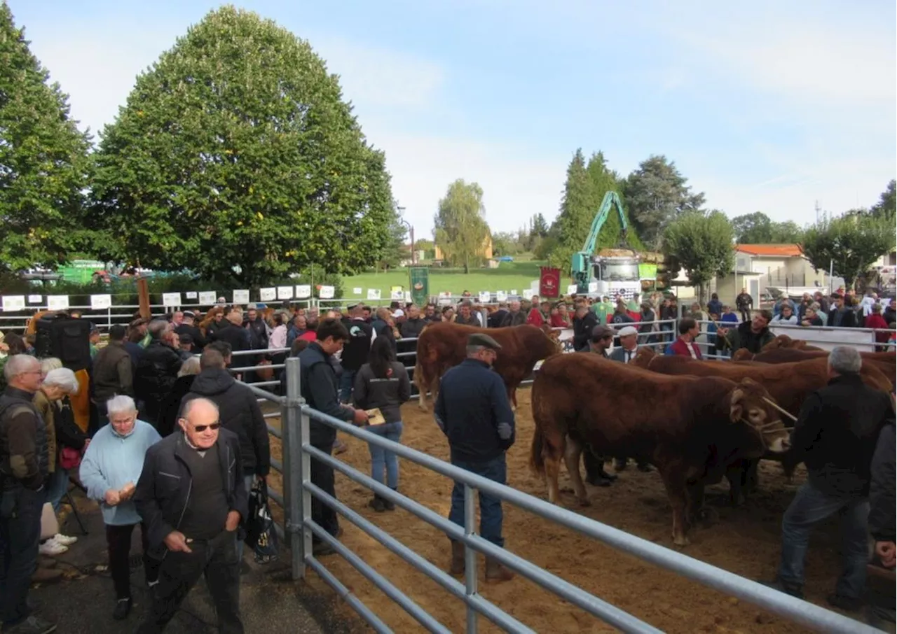 A Lanouaille en Dordogne, le comice agricole fête ses 200 ans : quelle est son origine ?