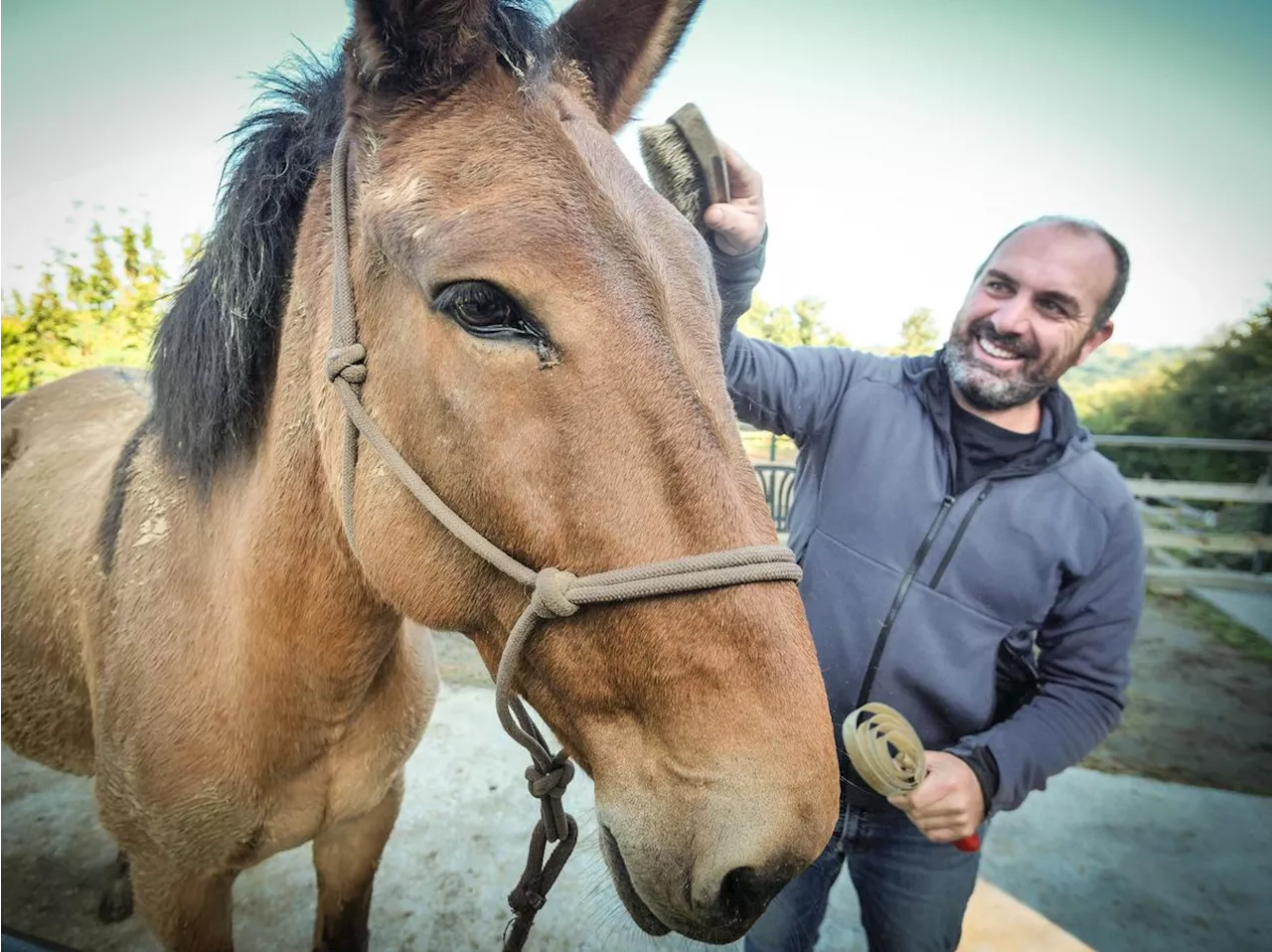 Urrugne. « Je ne suis pas né sur un cheval, mais presque » : Larrun Alde, le rêve de gosse d’Andoni Yriarte