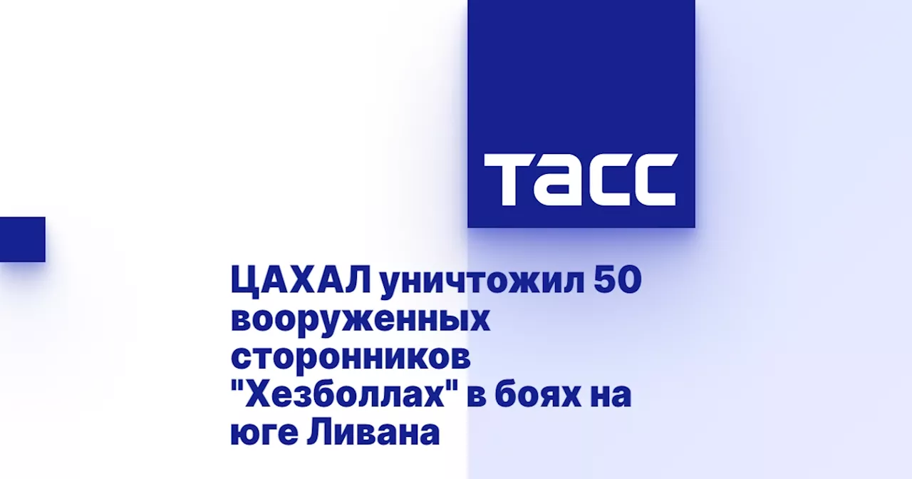 ЦАХАЛ уничтожил 50 вооруженных сторонников 'Хезболлах' в боях на юге Ливана