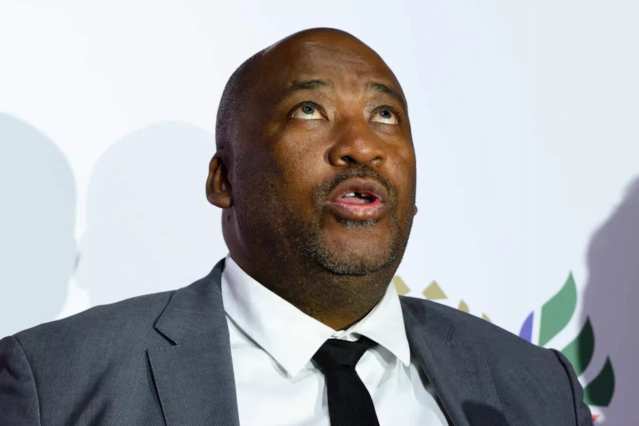 SA had to fork out R27.9m for athletes to show their mettle at Olympics