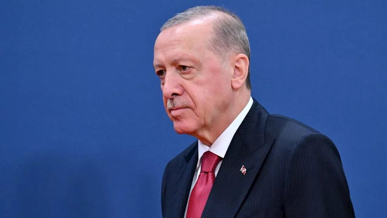 Türkiye ready to support lasting stability, peace in Balkans — Erdogan