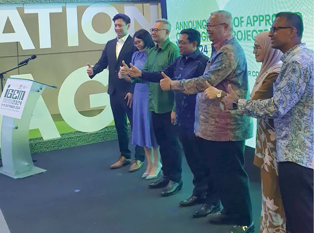 Sand Town Solar syarikat bumiputera tunggal projek hijau MIDA