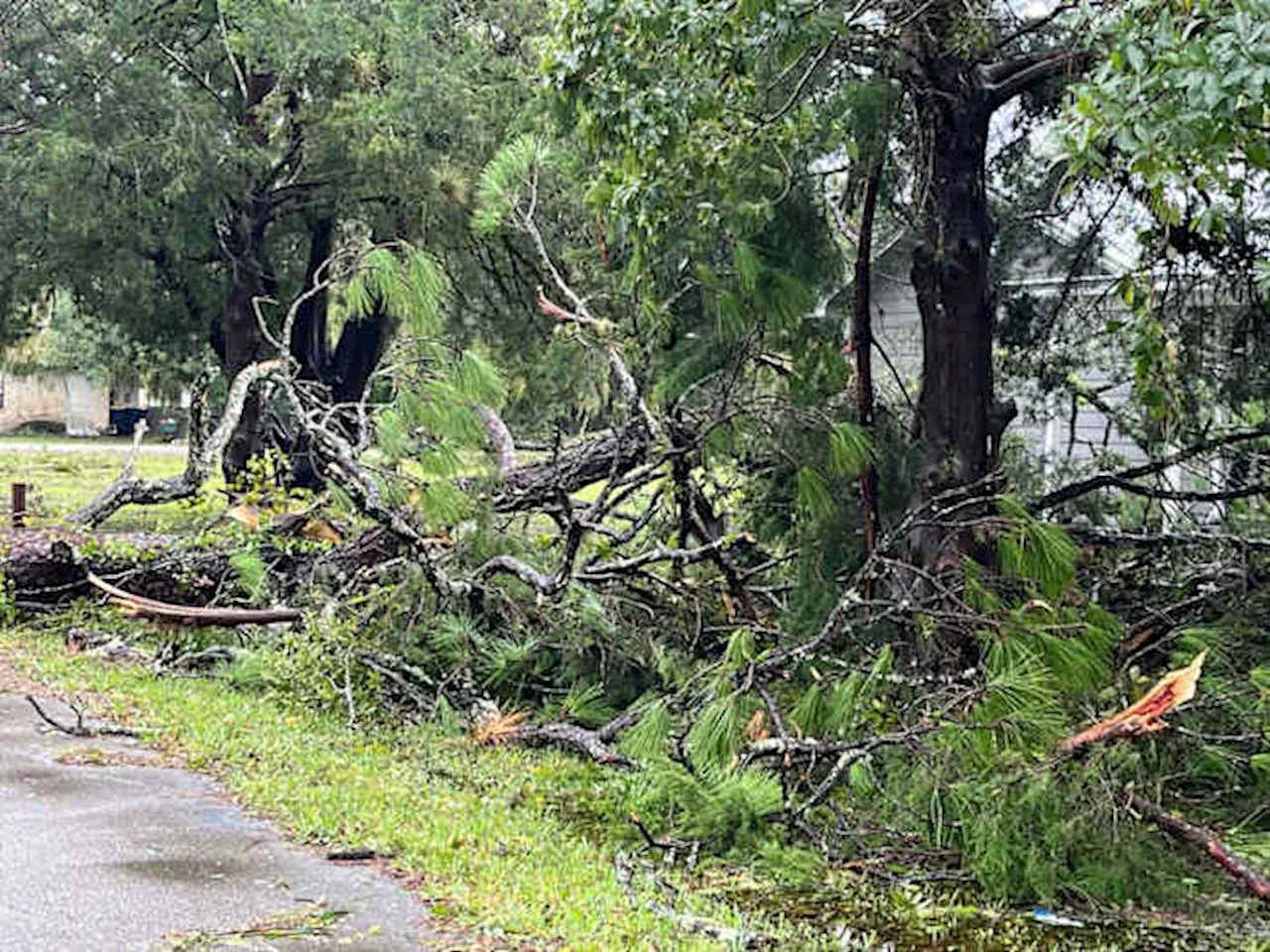 City of Bunnell begins debris pickup following Hurricane Milton