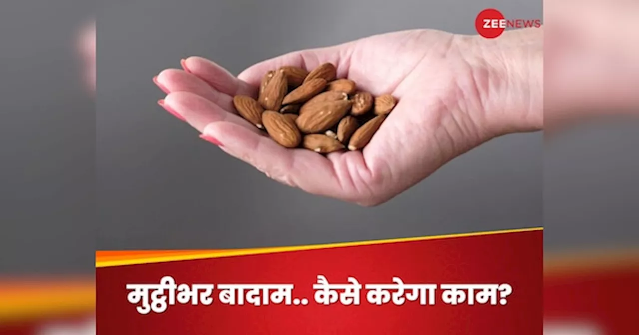 Almonds: रोजाना मुट्ठीभर बादाम खाने से क्या होगा? जानिए ऐसा करना अच्छा है या बुरा