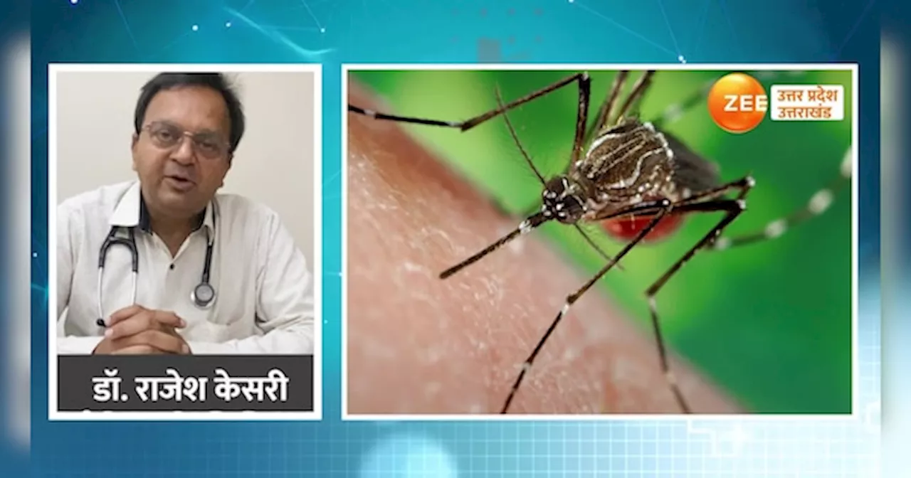 Dengue Fever Symptoms: डेंगू है जानलेवा, सीनियर फिजिशियन से जानें क्या हैं लक्षण और कैसे हो इलाज