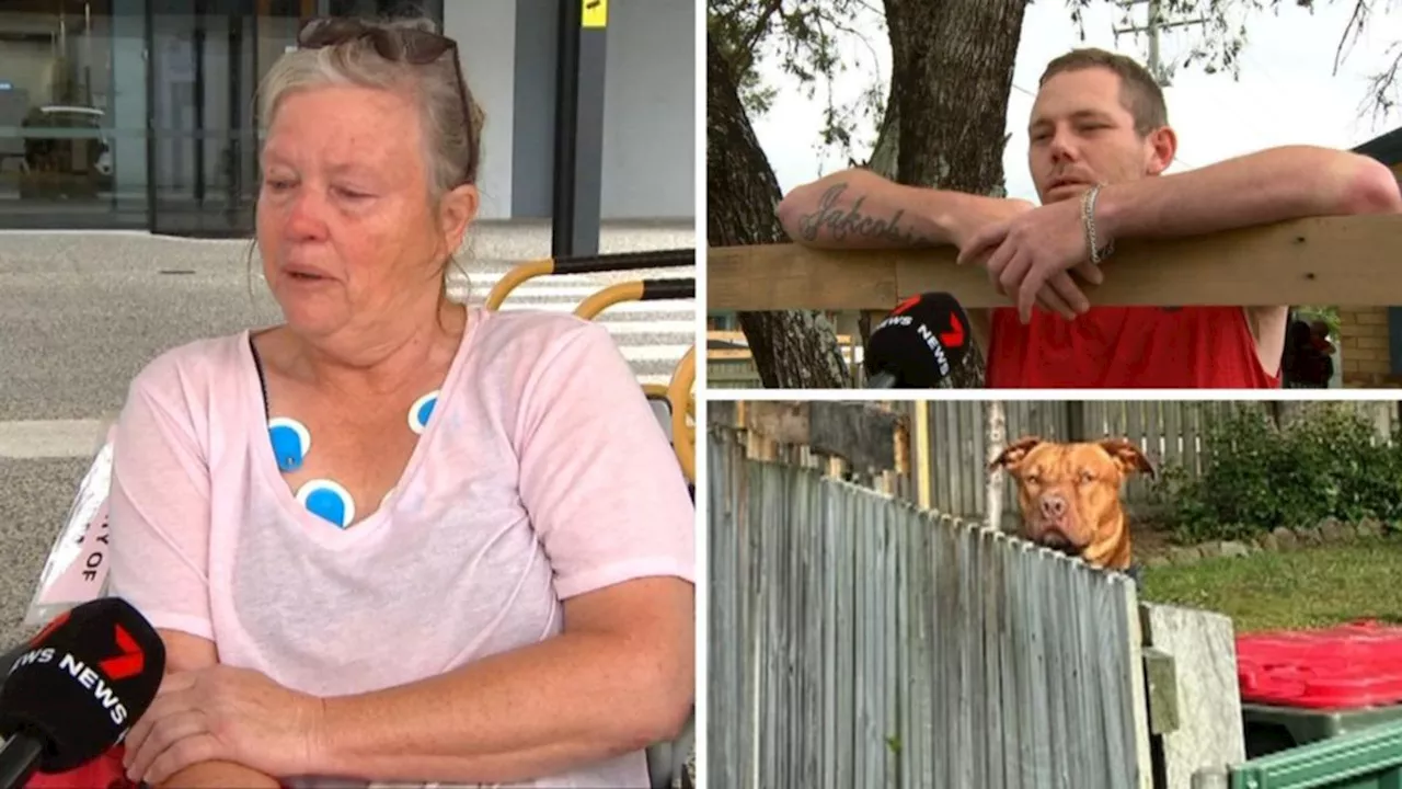 Woman attacked by unregistered Staffy dog in Caboolture, as owner denies pet is a danger