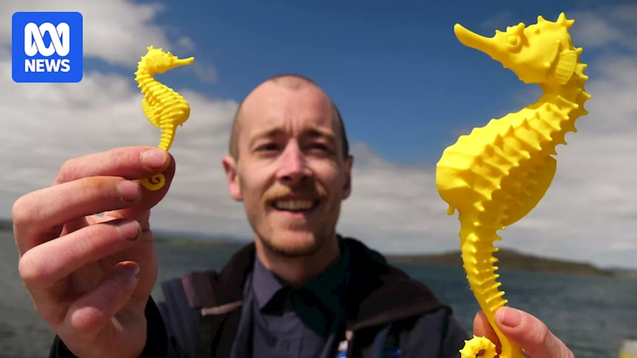 New 3D-printed aids mimic the feel of real seahorses for Seahorse World visitors with low vision