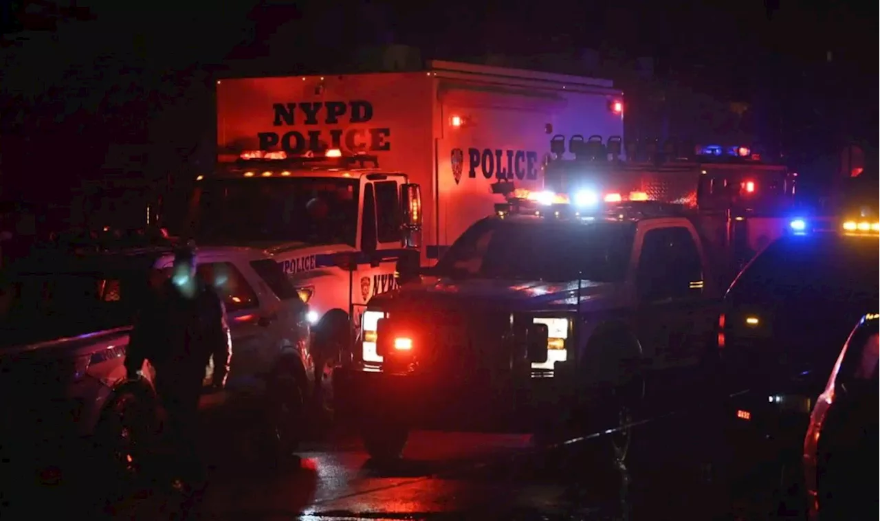 Harlem man shot in groin across the street from police station: NYPD