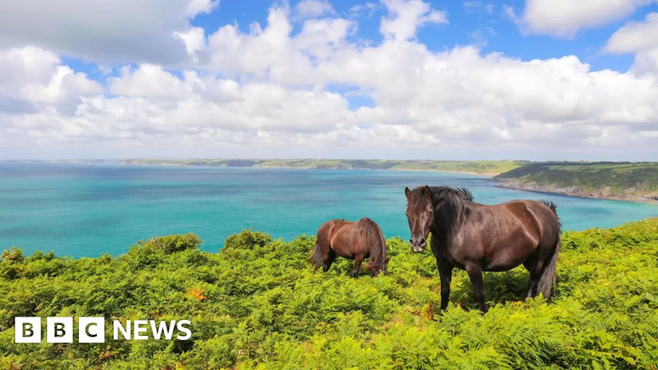 Unesco: Cornwall and the Isles of Scilly could join biosphere scheme