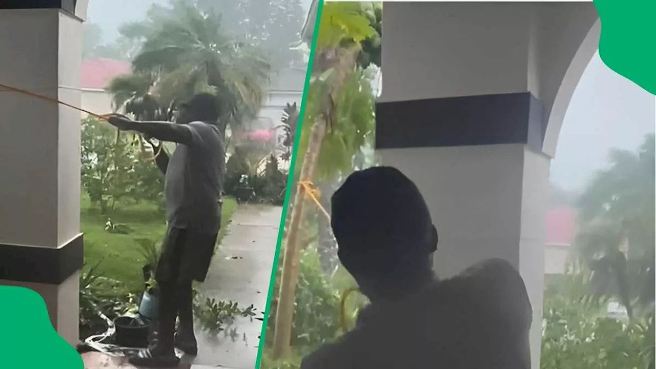 Man Tries to Save Fruit Tree in Hurricane Milton, Secures It to Home in TikTok Video With 13M Views