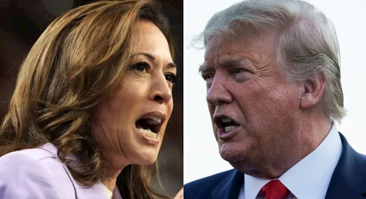 Média de pesquisas da CNN mostra empate técnico entre Kamala e Trump