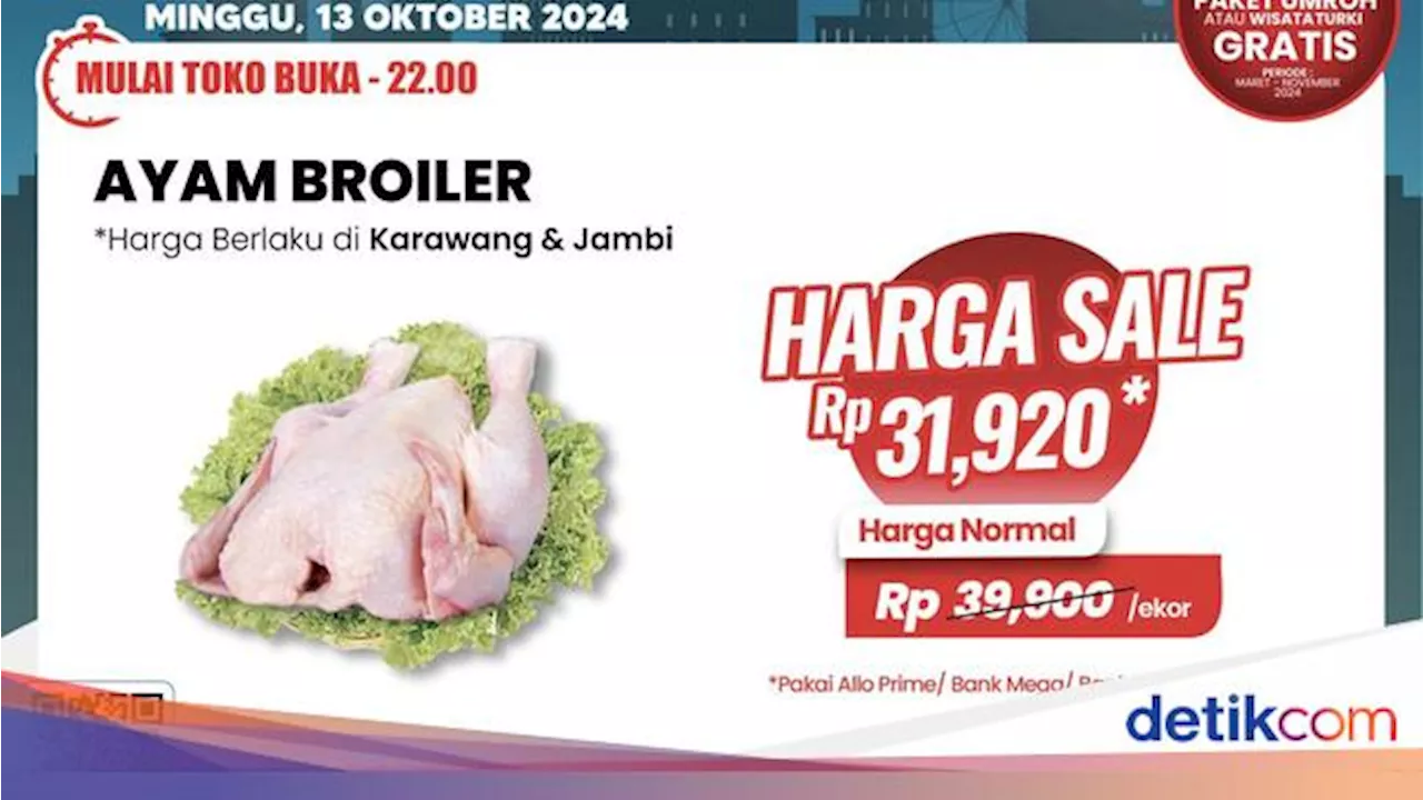 Ayam Broiler Murah Meriah di Transmart Full Day Sale!