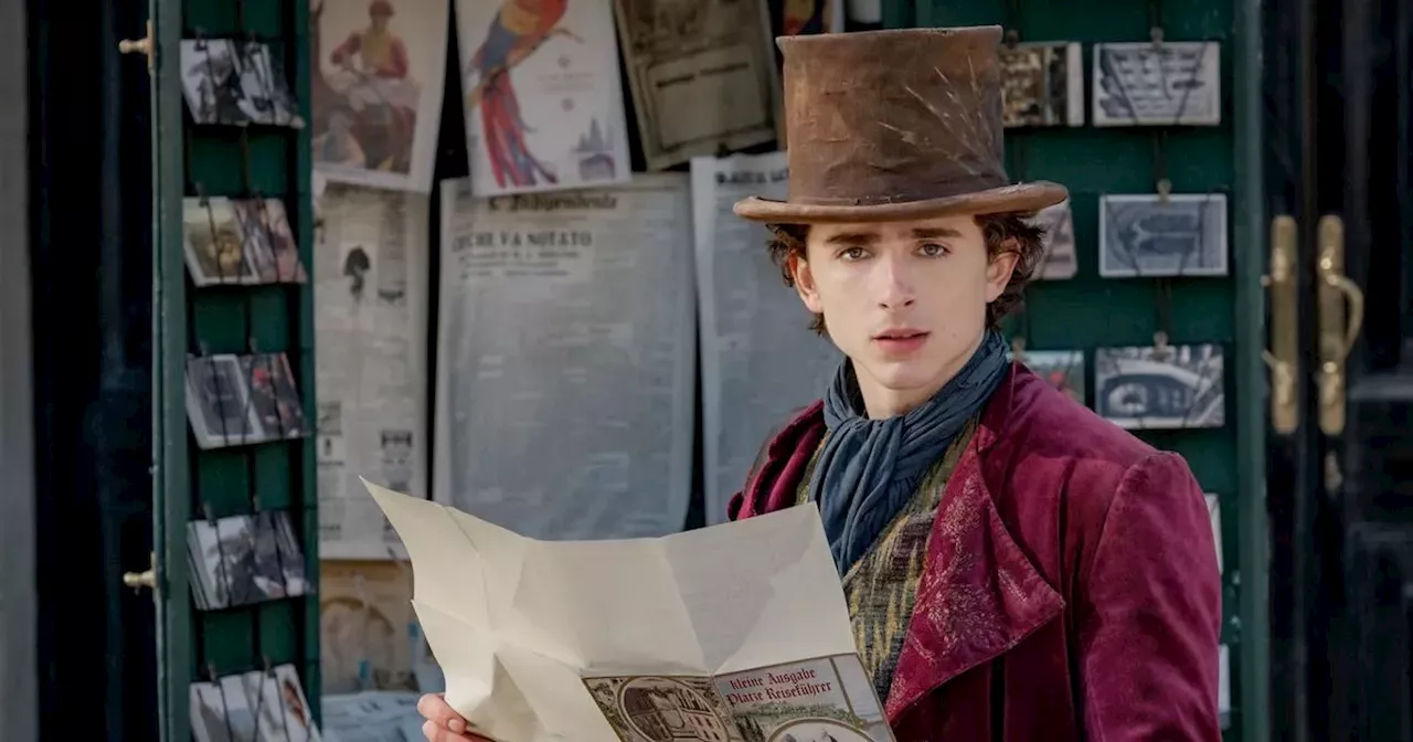 Timothée Chalamet's top 5 film transformations from Willy Wonka to Bones and All