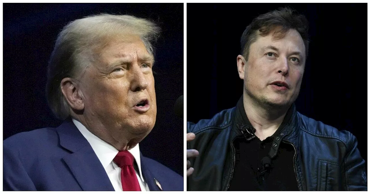 Elon Musk manipola le elezioni americane con Twitter?