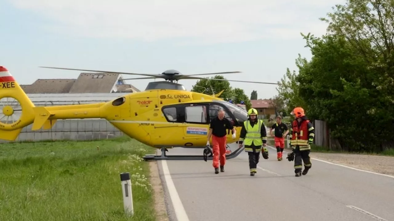 Lenker (31) kracht gegen Baum und ist sofort tot