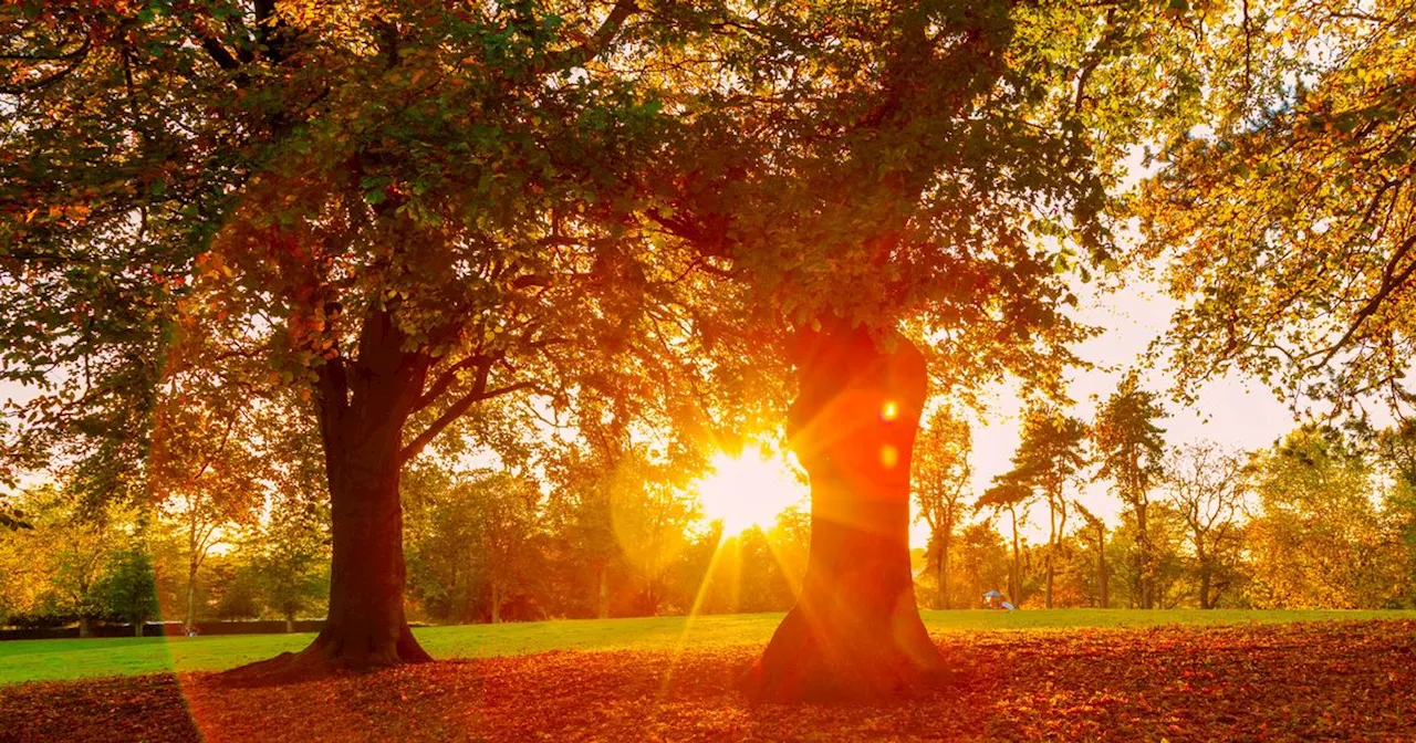 Ireland weather: Weather warnings to give way to warmth as Indian Summer beckons