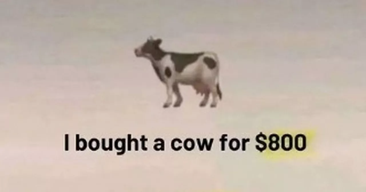 Tricky maths question leaves people utterly baffled