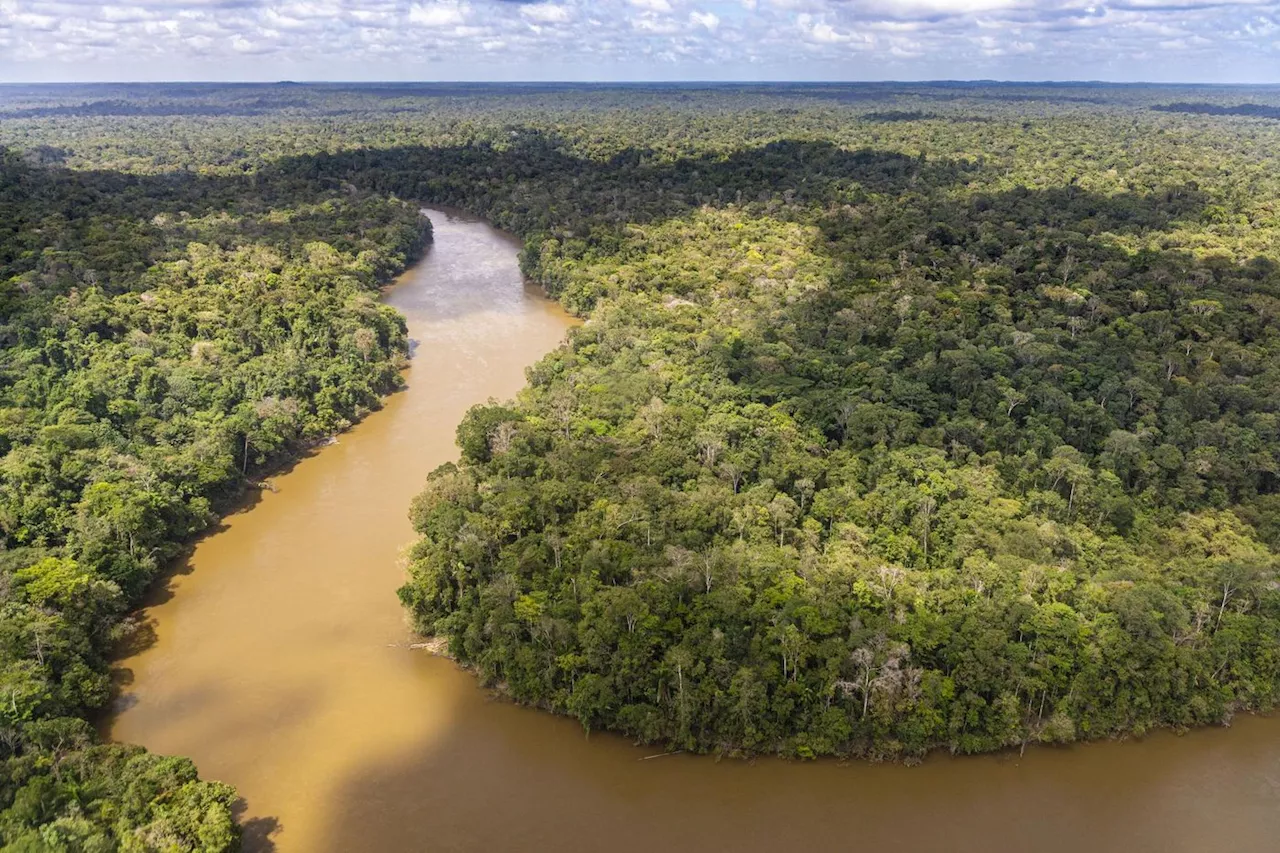 Guyane : manque d’eau et enclavement, les conséquences d’une sécheresse déjà historique