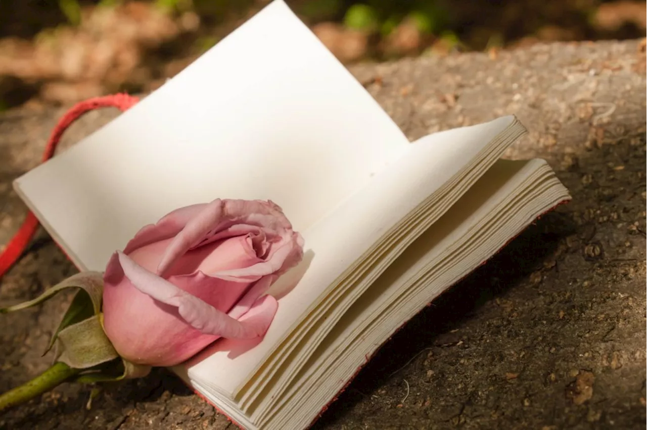 A rose pressed into a book of love poems inspires a new set of memories