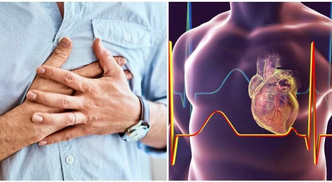 Infarti e ictus causati dall'intestino, la scoperta italiana che può rivoluzionare la prevenzione. Chi sono i