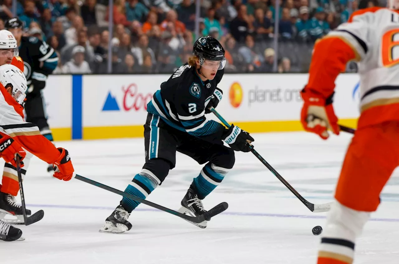 Vanecek shines but San Jose Sharks’ October woes continue