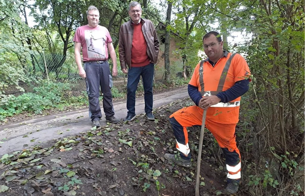 Sorgen in Schmidmühlen: Biber hat unter einer Straße Gänge gegraben