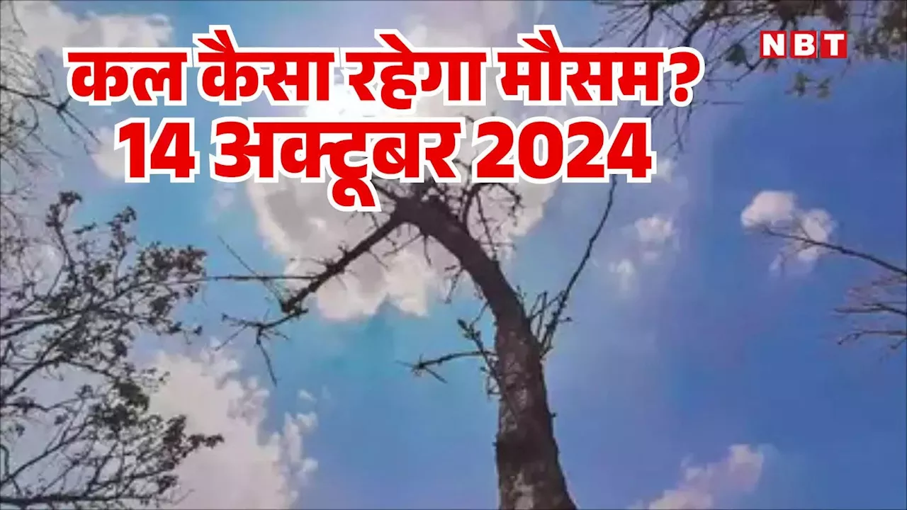 कल का मौसम 14 अक्टूबर 2024: यूपी में थमी बारिश लेकिन उमस से जूझ रही दिल्ली, कल कैसा रहेगा राजस्थान का मौसम, पढ़िए वेदर अपडेट