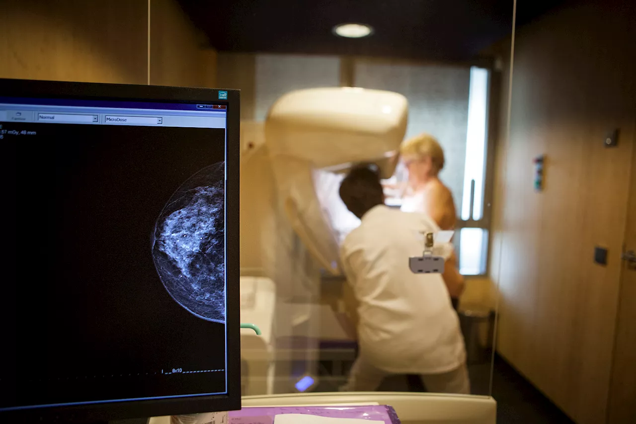 Dense breasts can make it harder to spot cancer on a mammogram