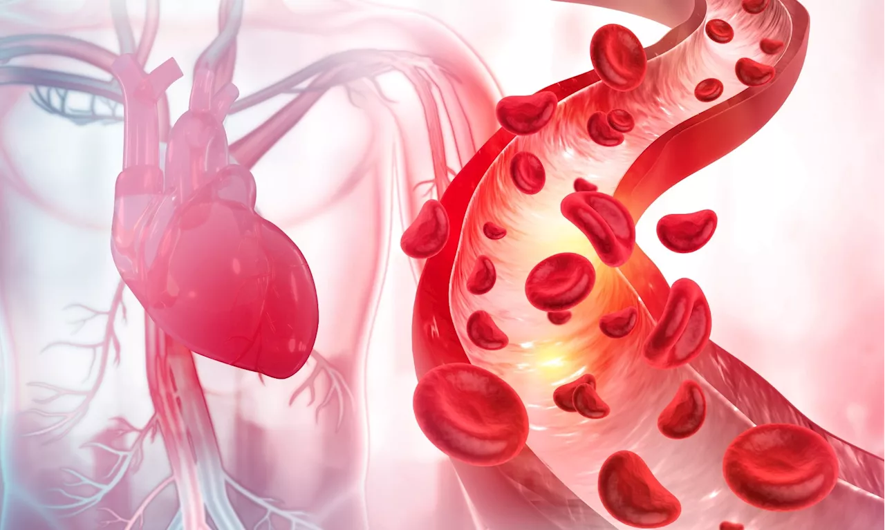 The long-term cardiac impact of COVID-19