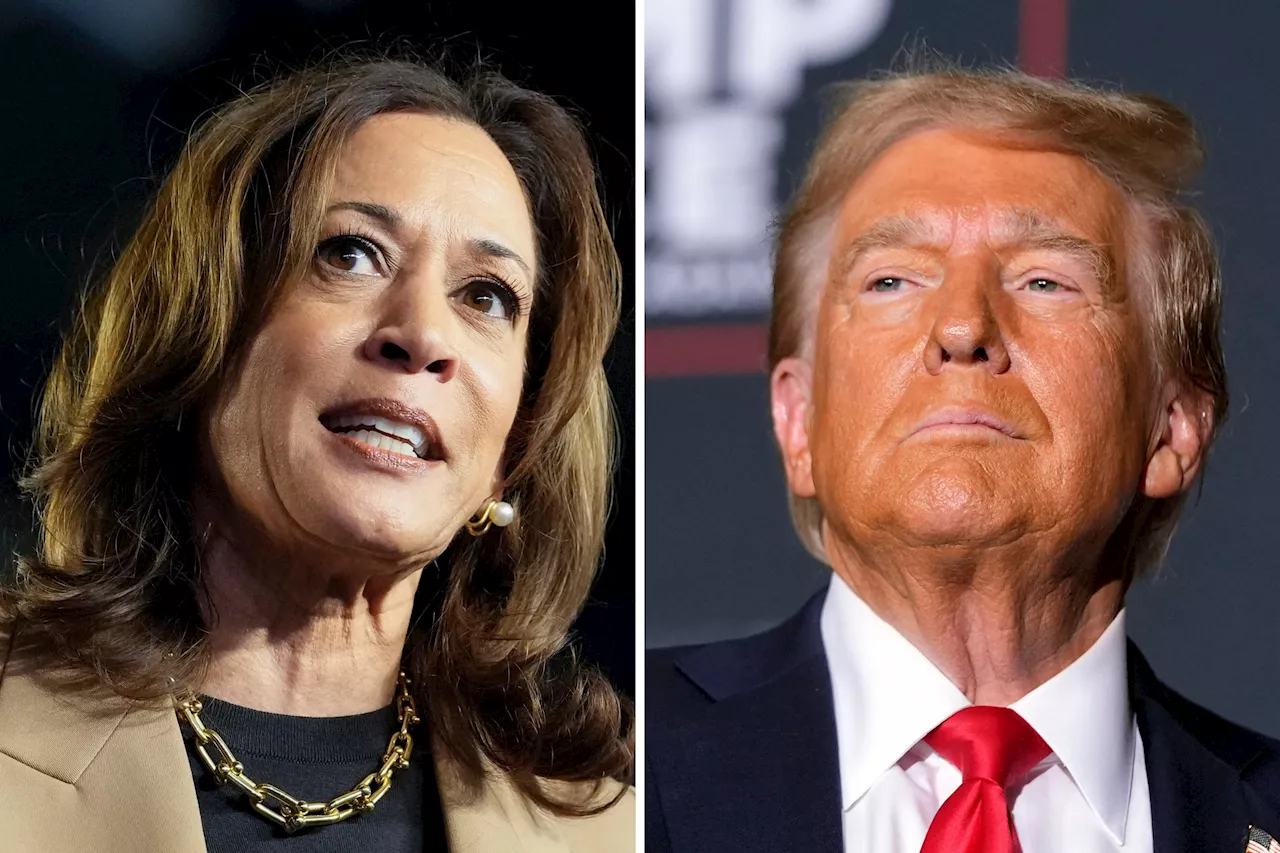 Electoral College Map Projector Flips Third State From Kamala Harris