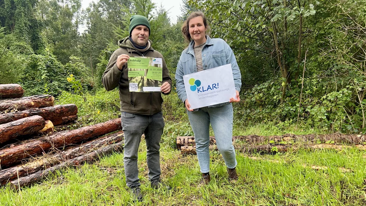 Klimafitter Wald durch Laubholz