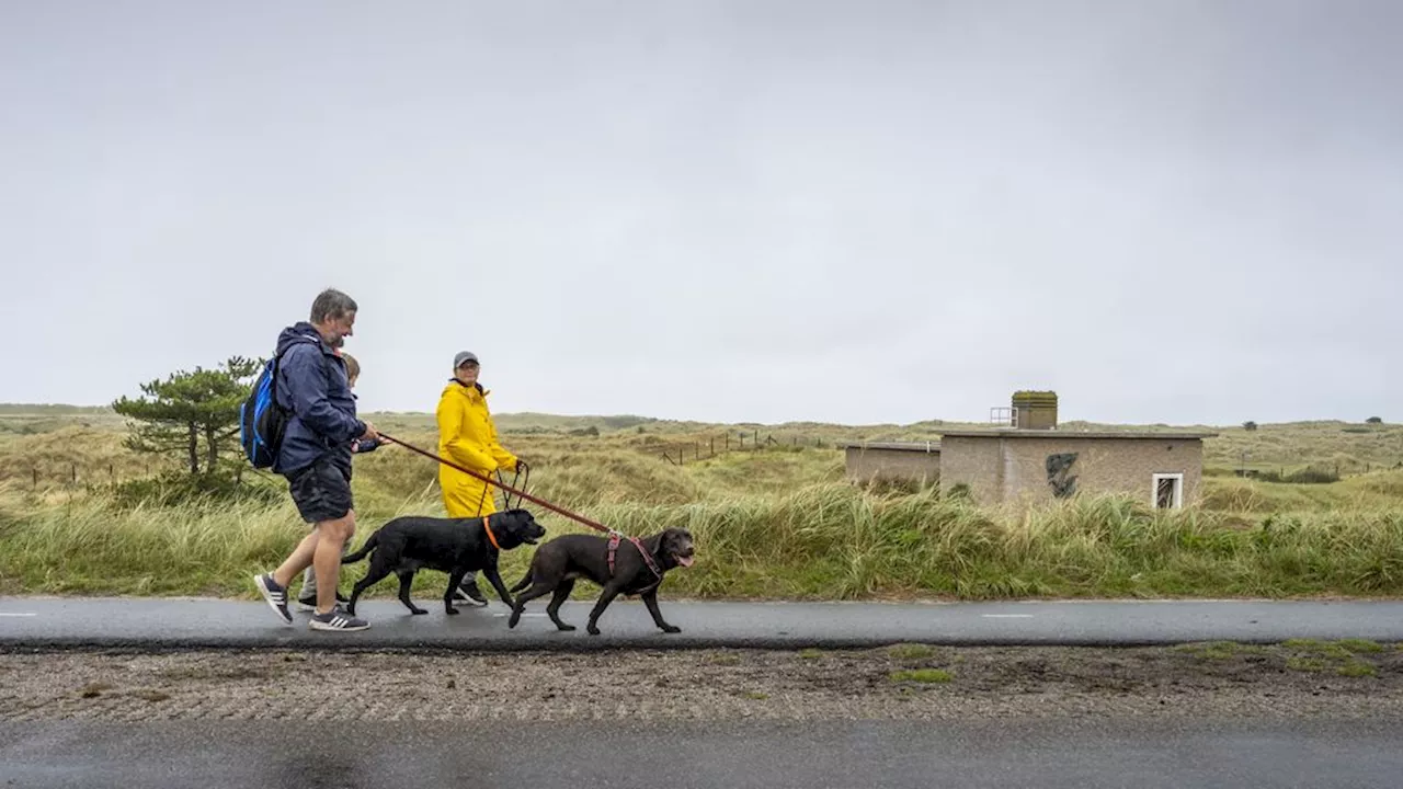 Meer honden na bijtincident weggehaald bij eigenaar