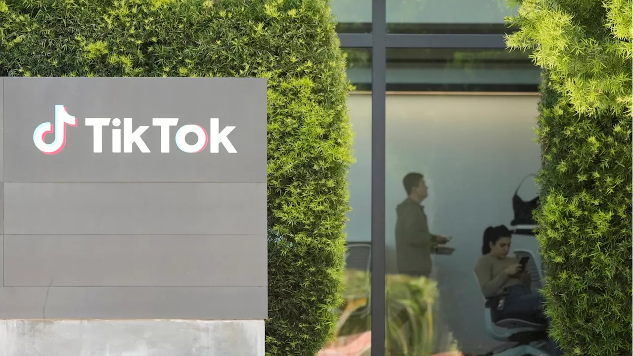 Inside the TikTok documents: Stripping teens and boosting ‘attractive’ people