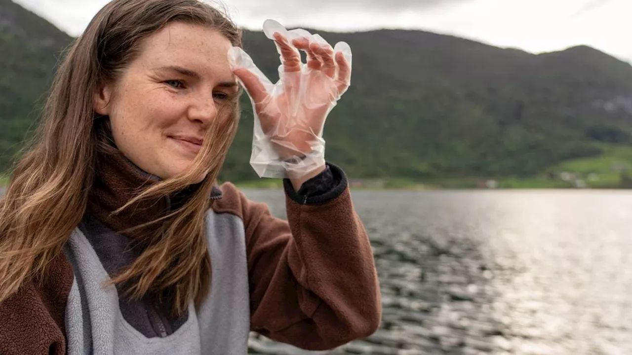 Tre studenter ryddar langs Sognefjorden