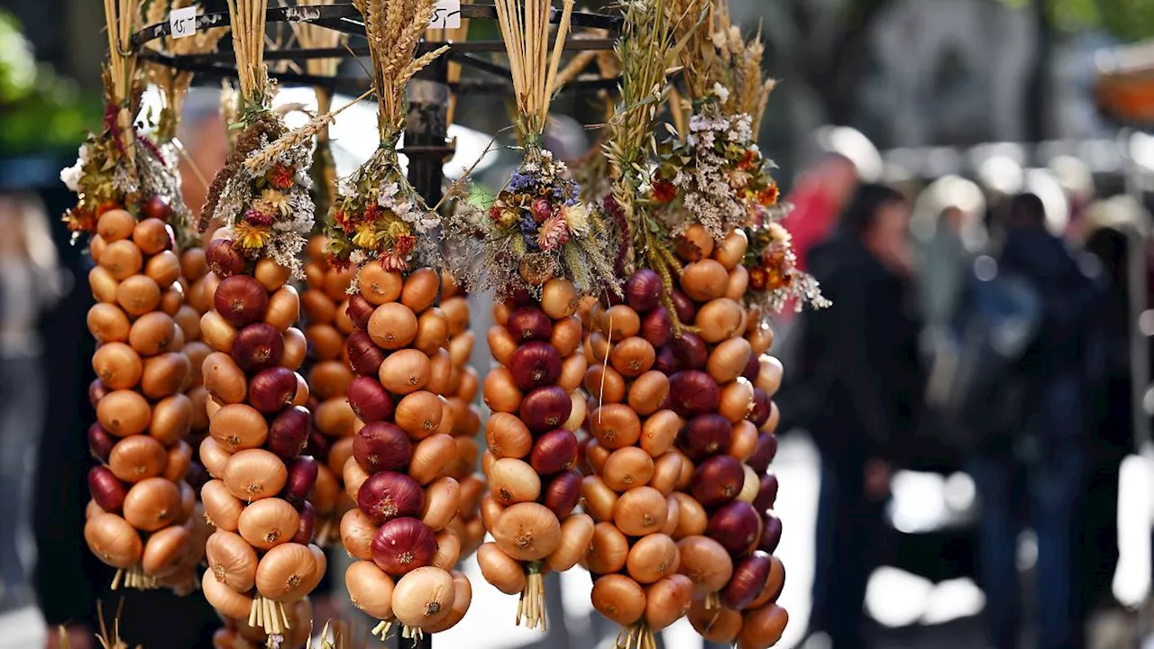 Thüringen: Weimarer Zwiebelmarkt lockt 250.000 Besucher