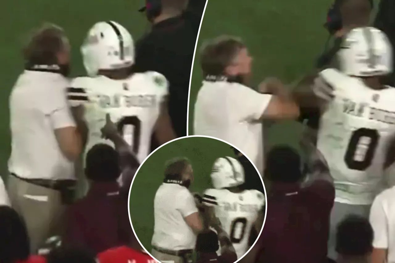 Georgia's Kirby Smart shoves Mississippi State QB Michael Van Buren in heated sideline moment