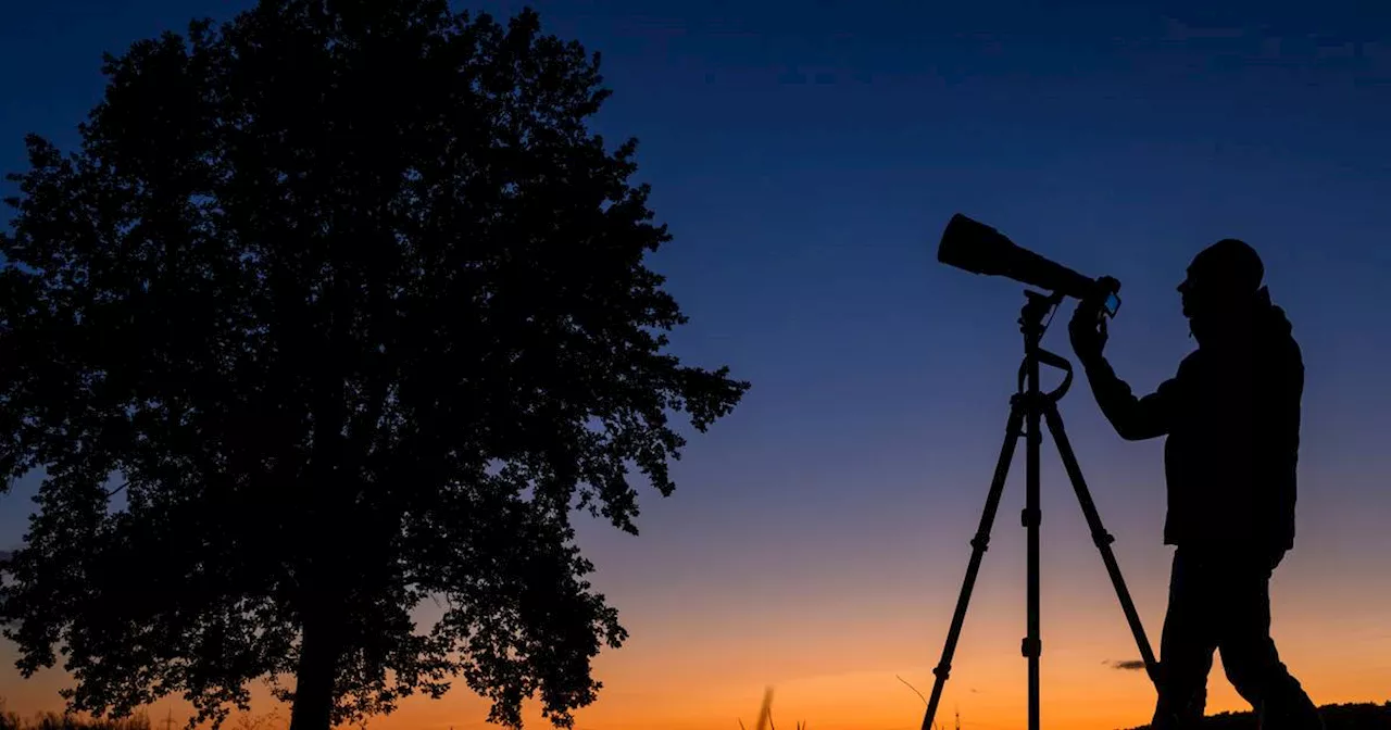 Komet am Himmel: Hier kann man ihn besonders gut sehen